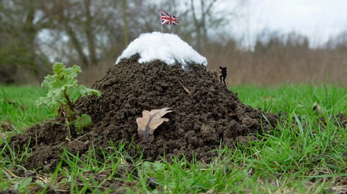 Molehill Mountain