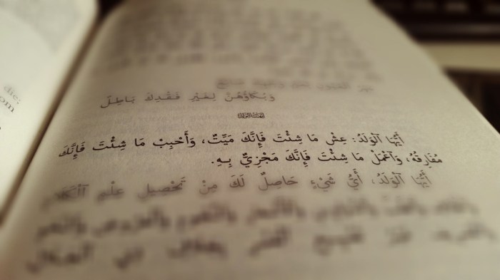 2015-01-27 11.26.22-2